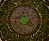 202411145491.jpg kru5ZxWkRkmIuzJRb0RUEg.jpg